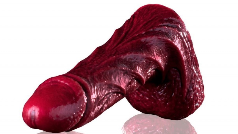 Fleshlight Drac Freaks Dildo | EGYPT 0692TMHDI