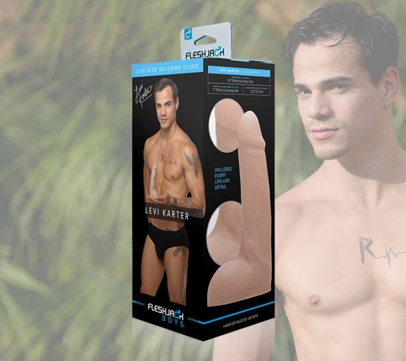 Fleshlight Levi Karter Male Pornstar Replicas | EGYPT 9340BKPFQ