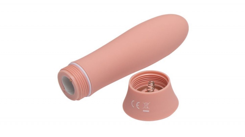 Fleshlight Poppy Bloom Bullet Vibrators | EGYPT 8143YFPVJ